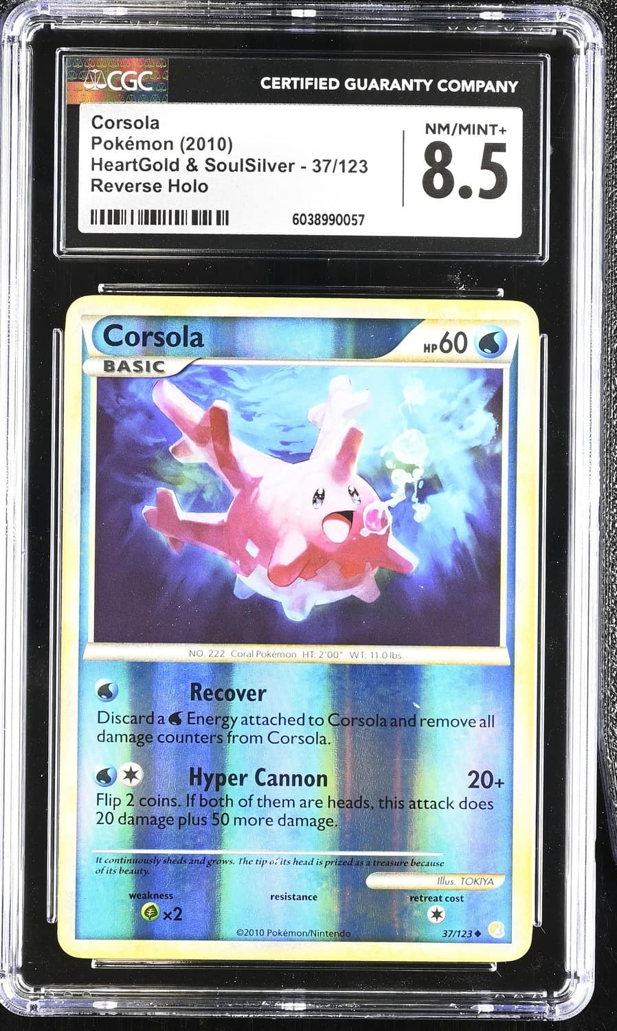 Corsola