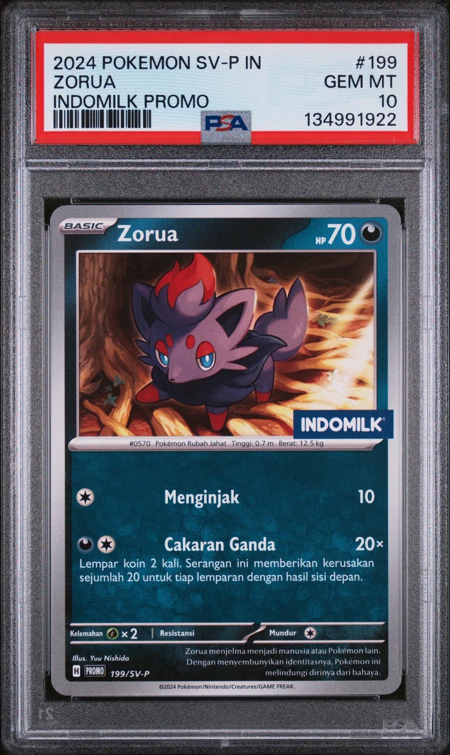 Zorua