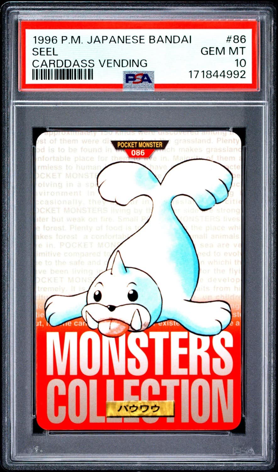 Seel
