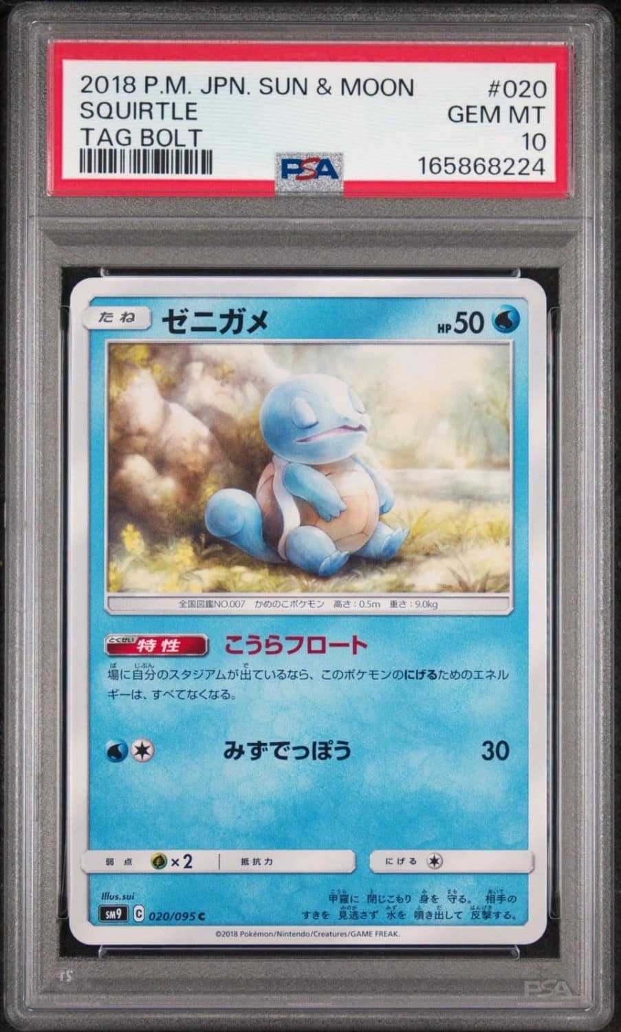 Squirtle
