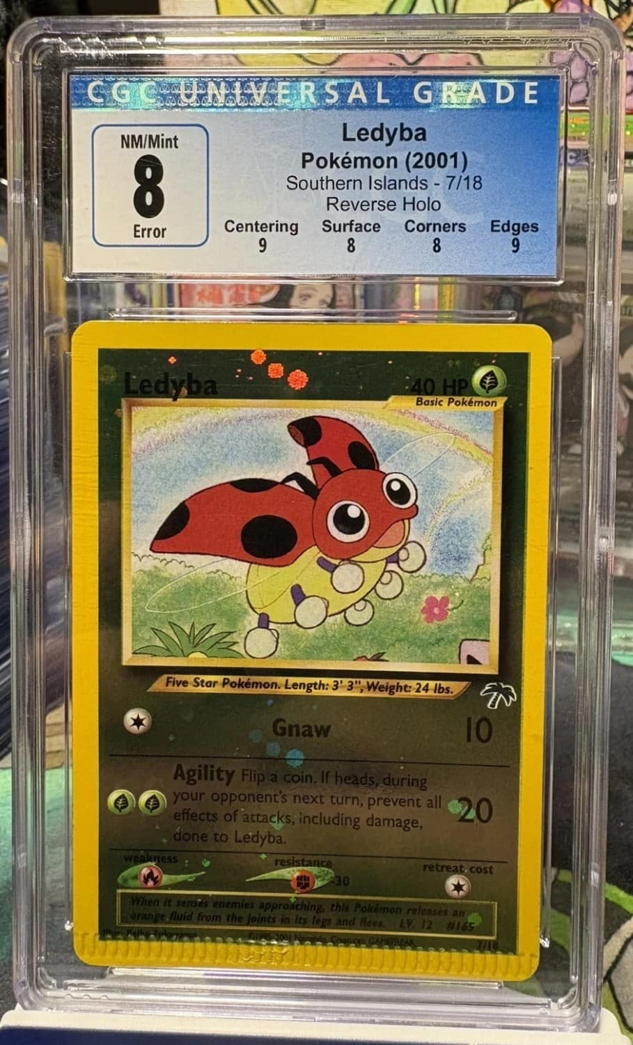 Ledyba