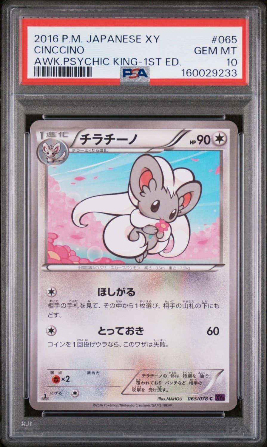Cinccino