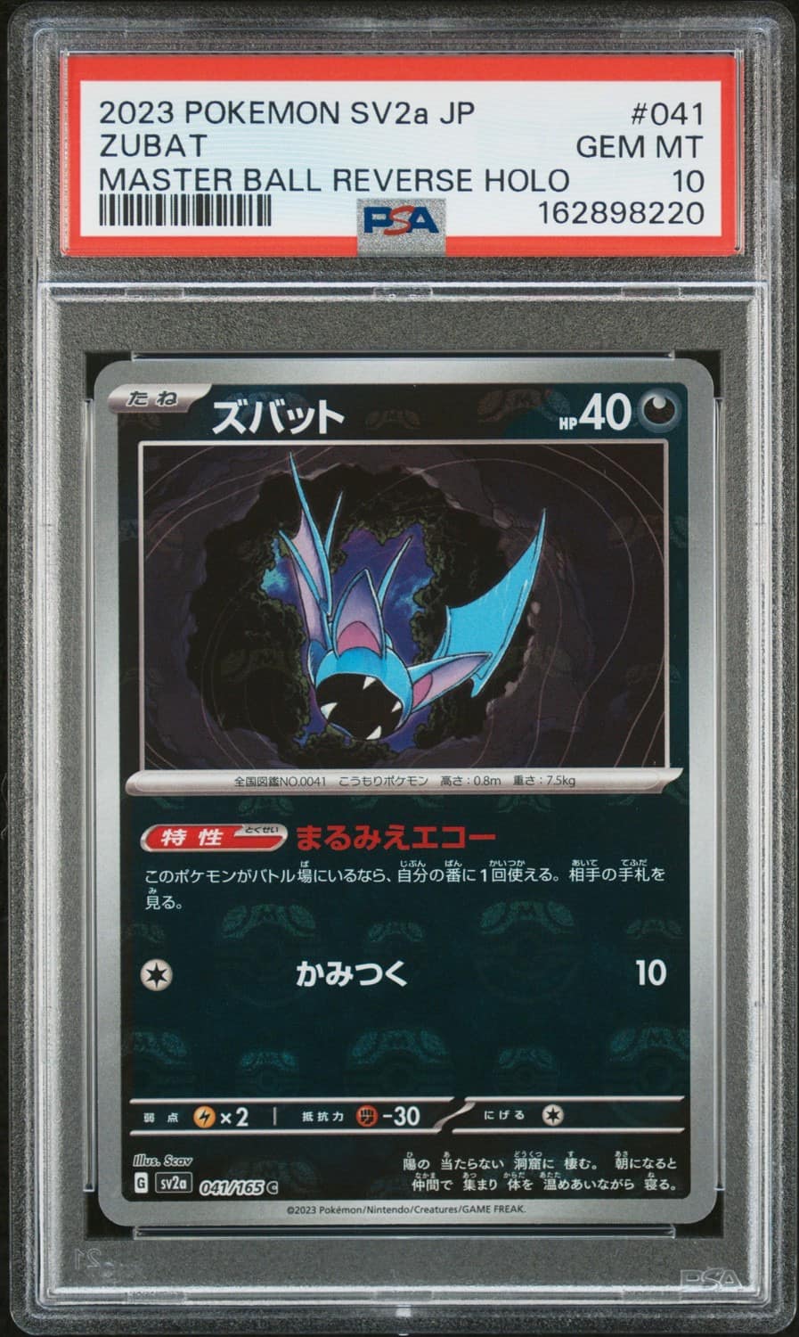 Zubat