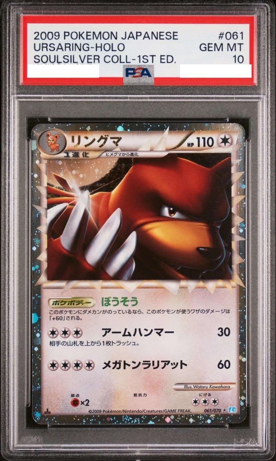 Ursaring