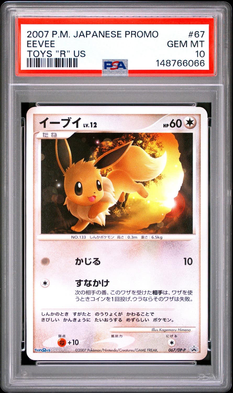 Eevee