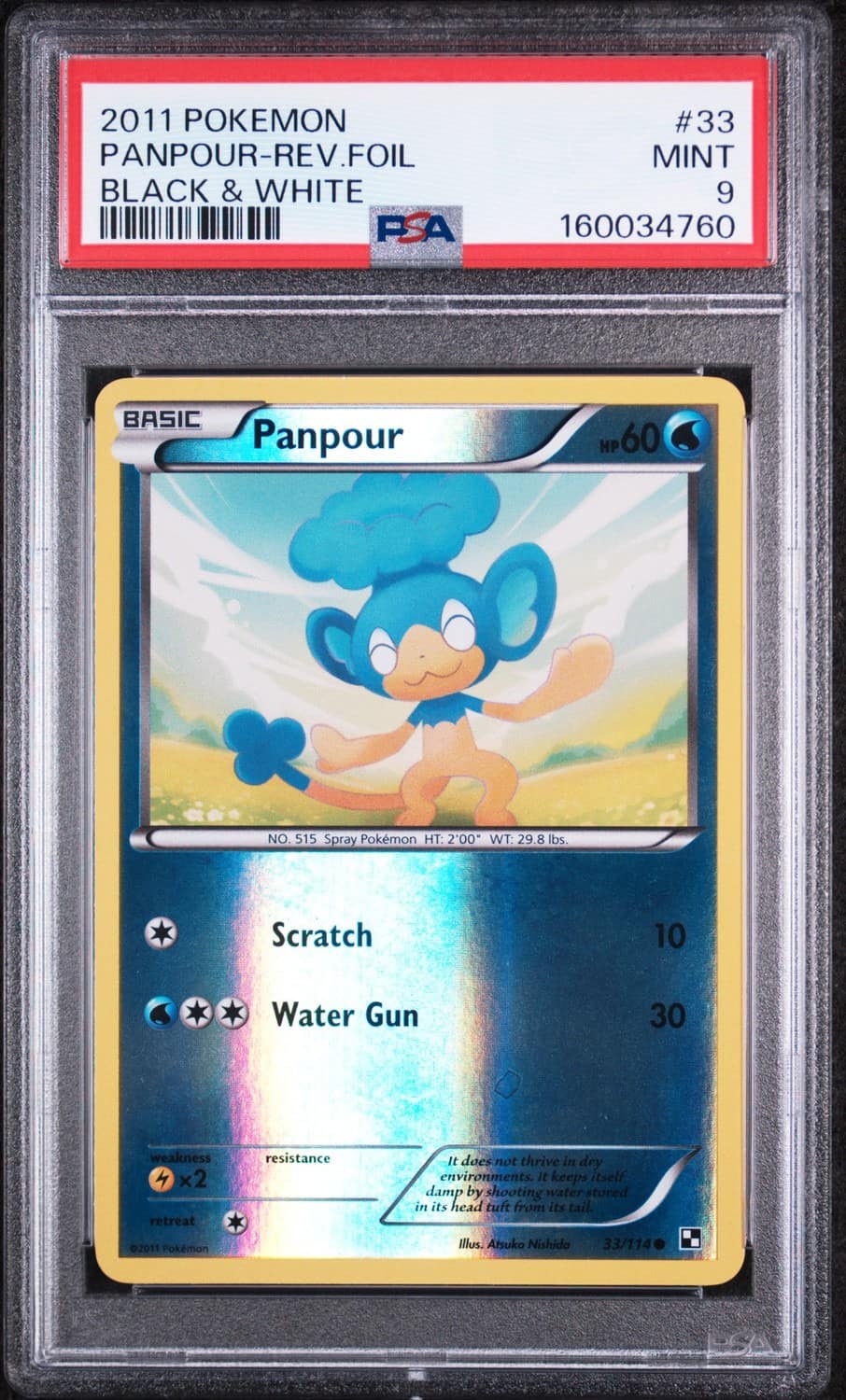 Panpour