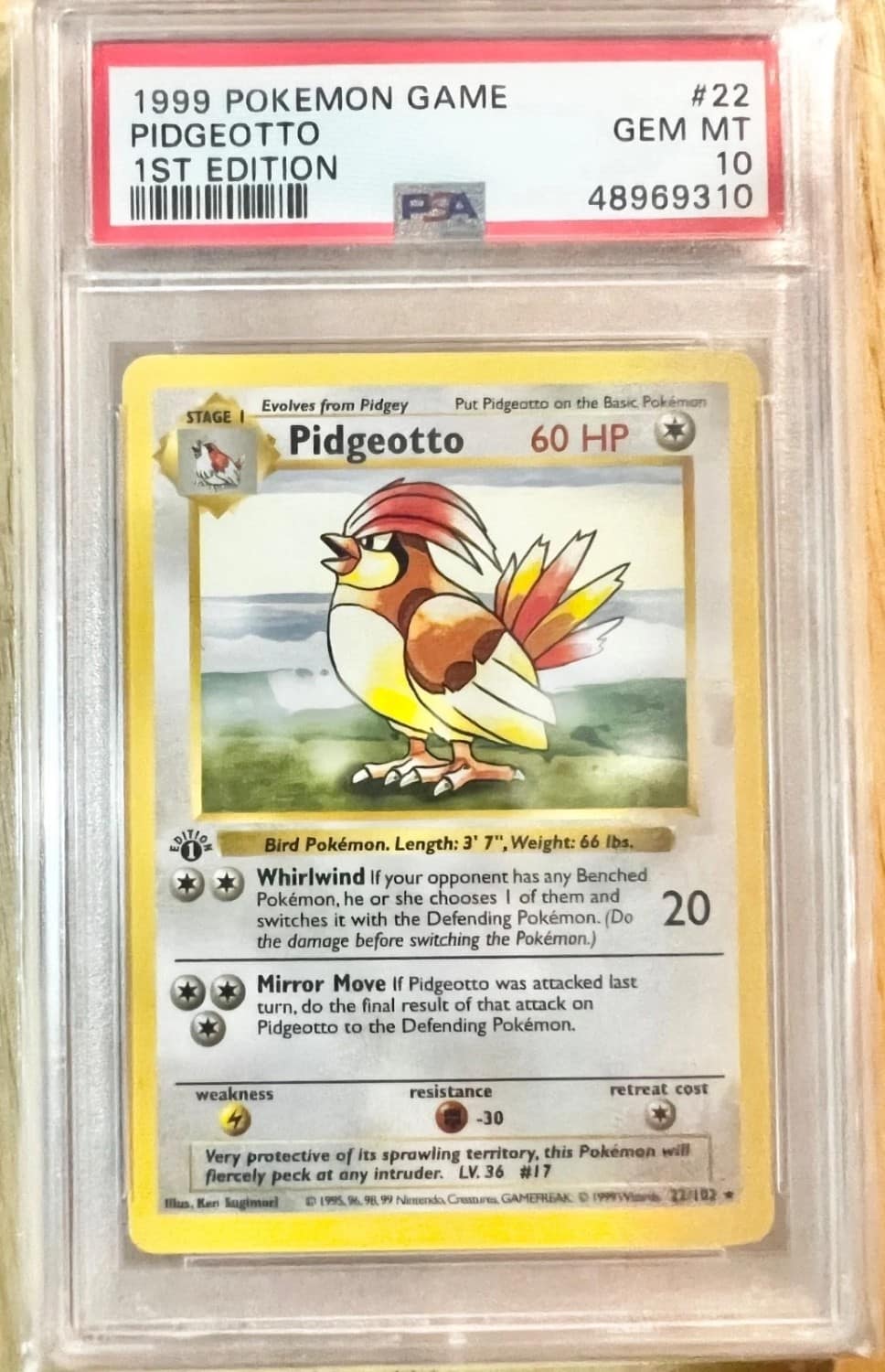 Pidgeotto