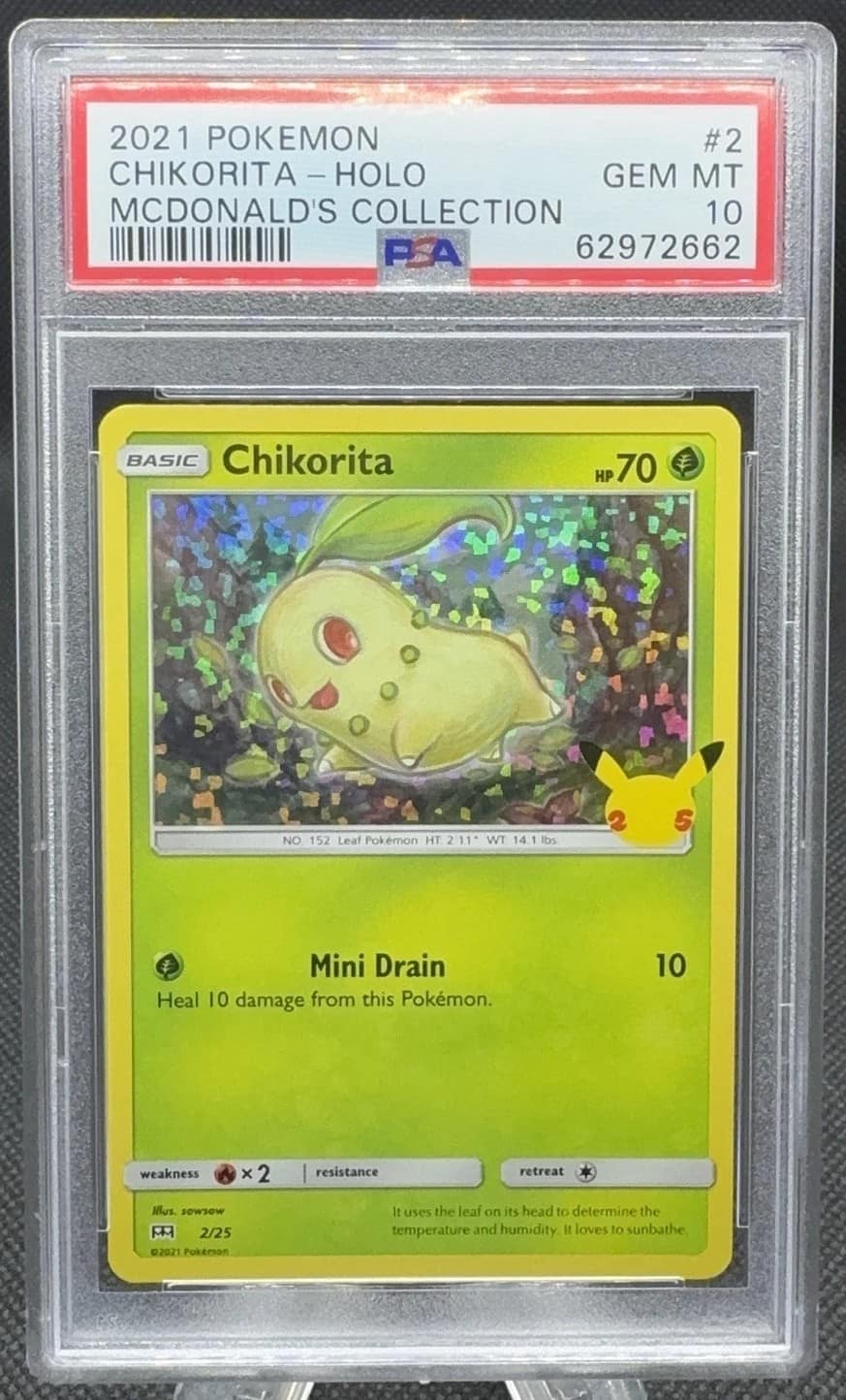 Chikorita