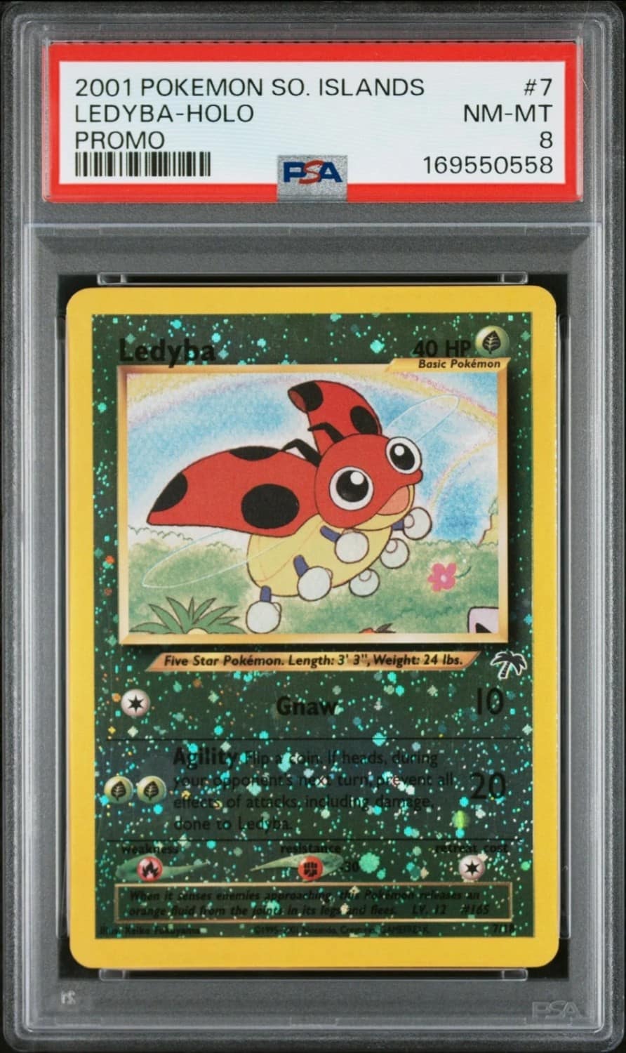 Ledyba