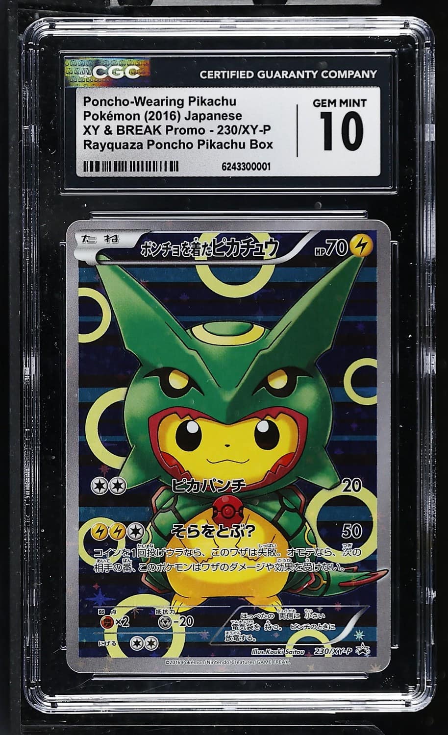 Poncho-Wearing Pikachu