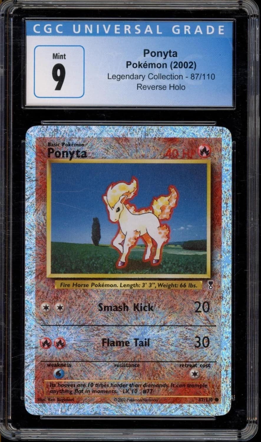 Ponyta