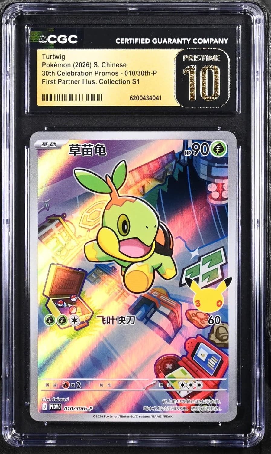 Turtwig