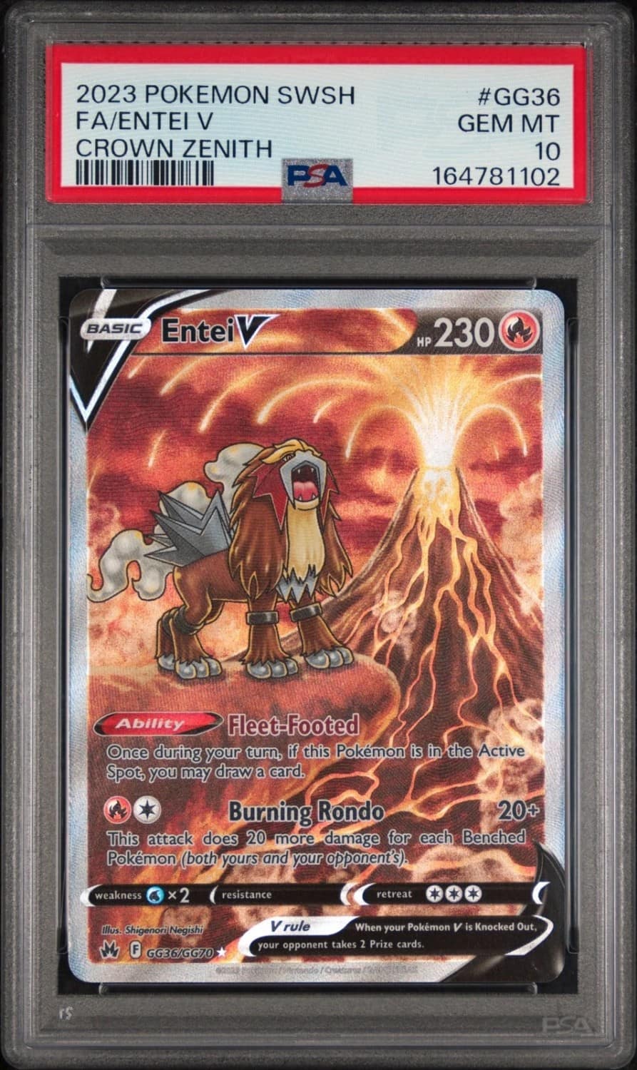 Entei V