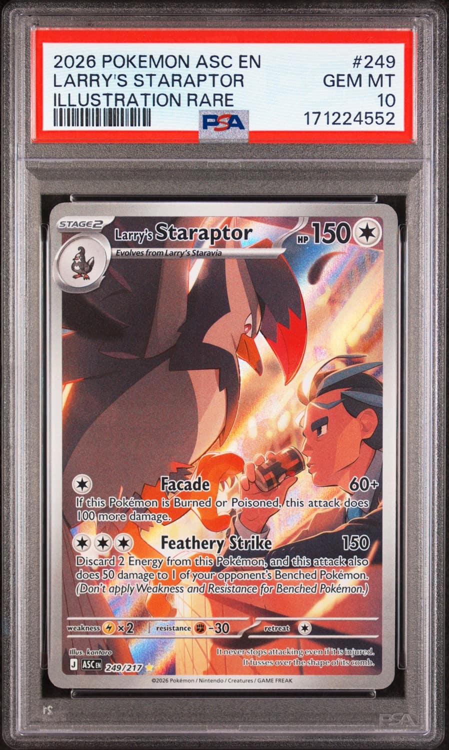 Larry'S Staraptor