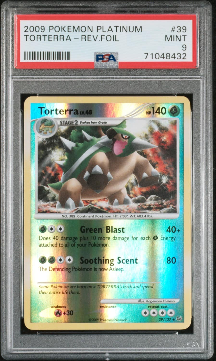Torterra
