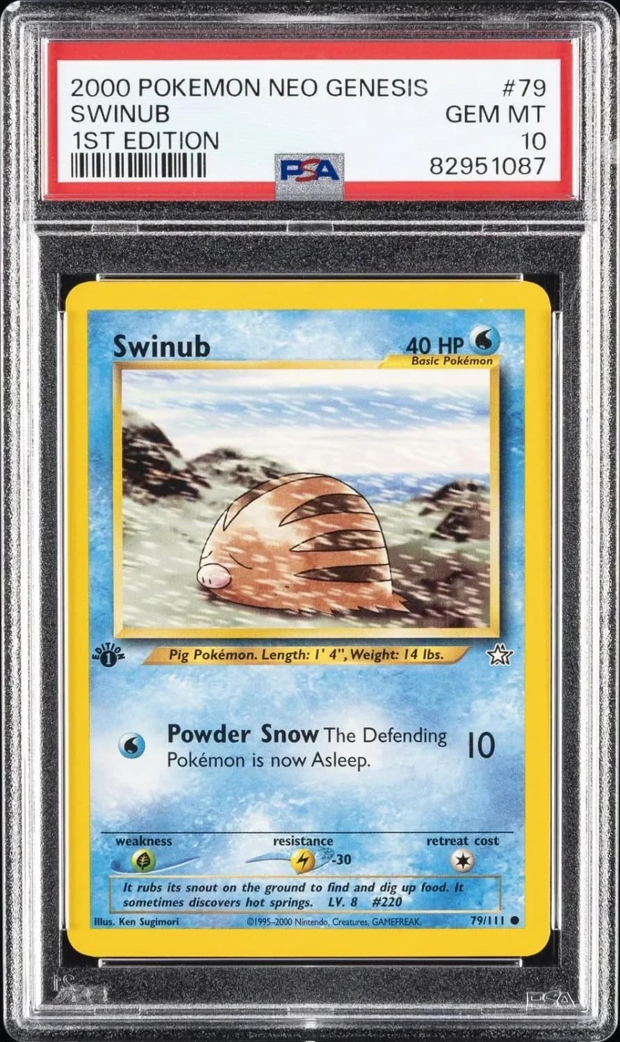 Swinub