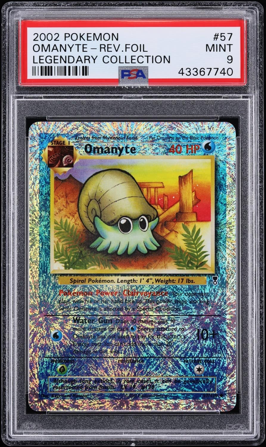 Omanyte