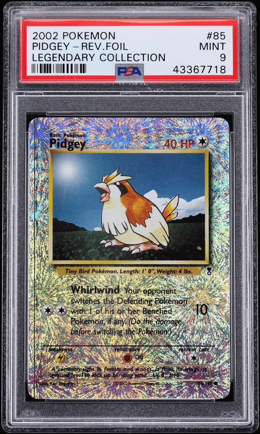 Pidgey
