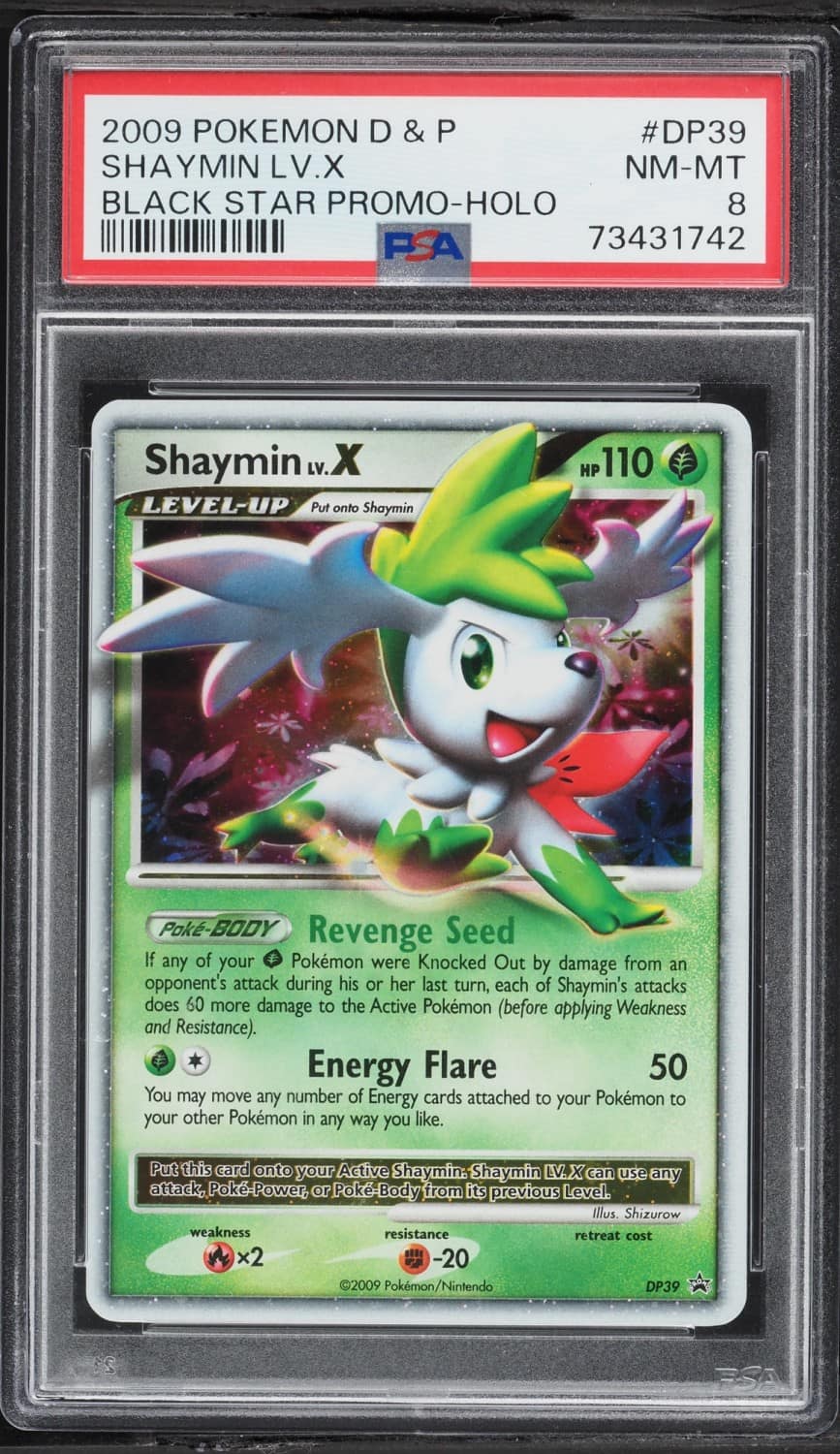 Shaymin Lv X