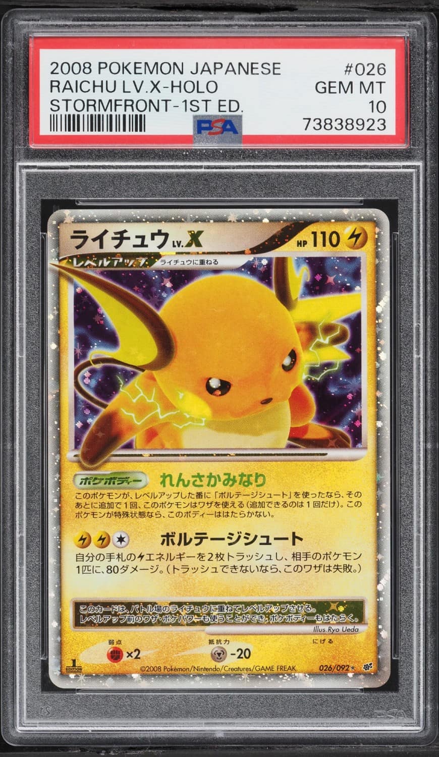 Raichu Lv.x