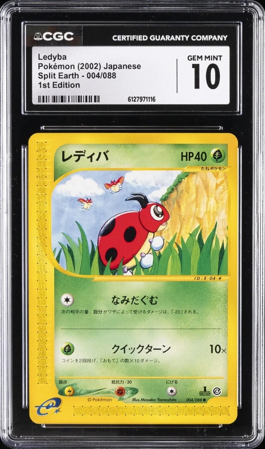Ledyba