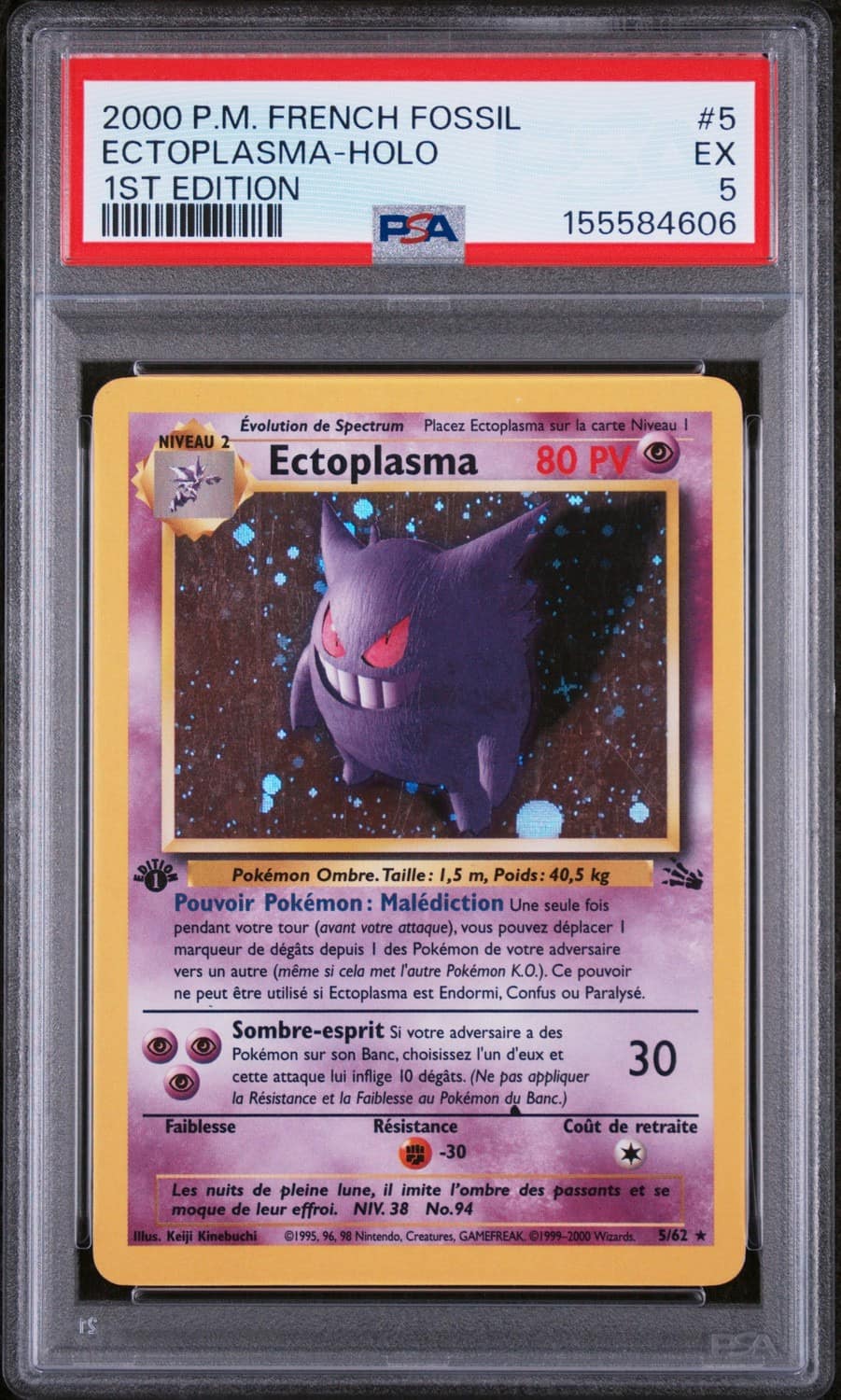 Ectoplasma