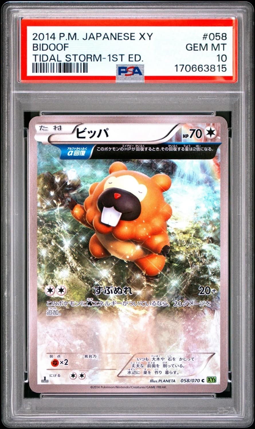 Bidoof