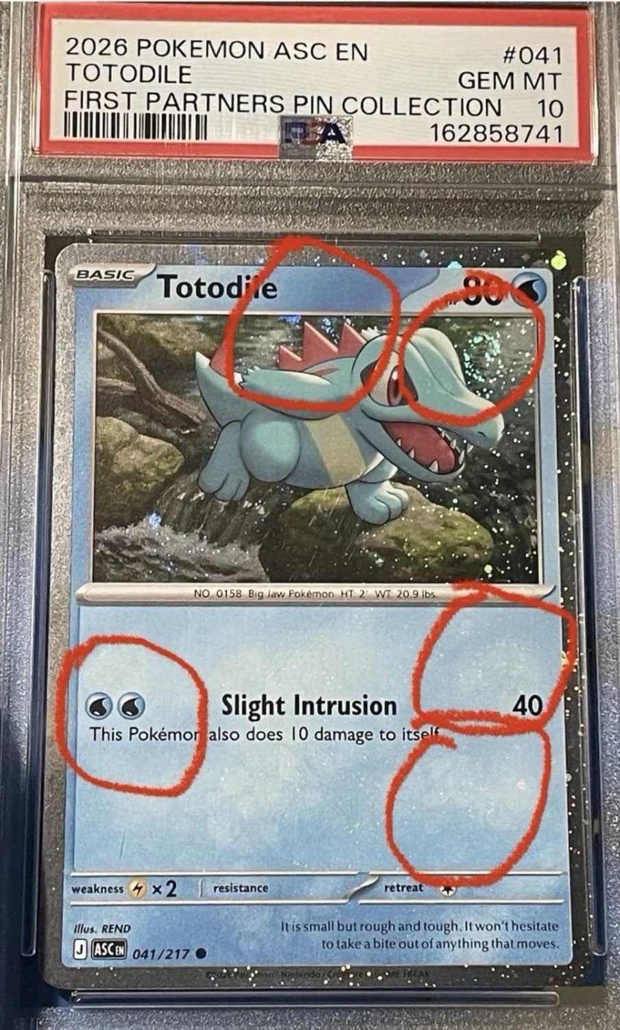 Totodile