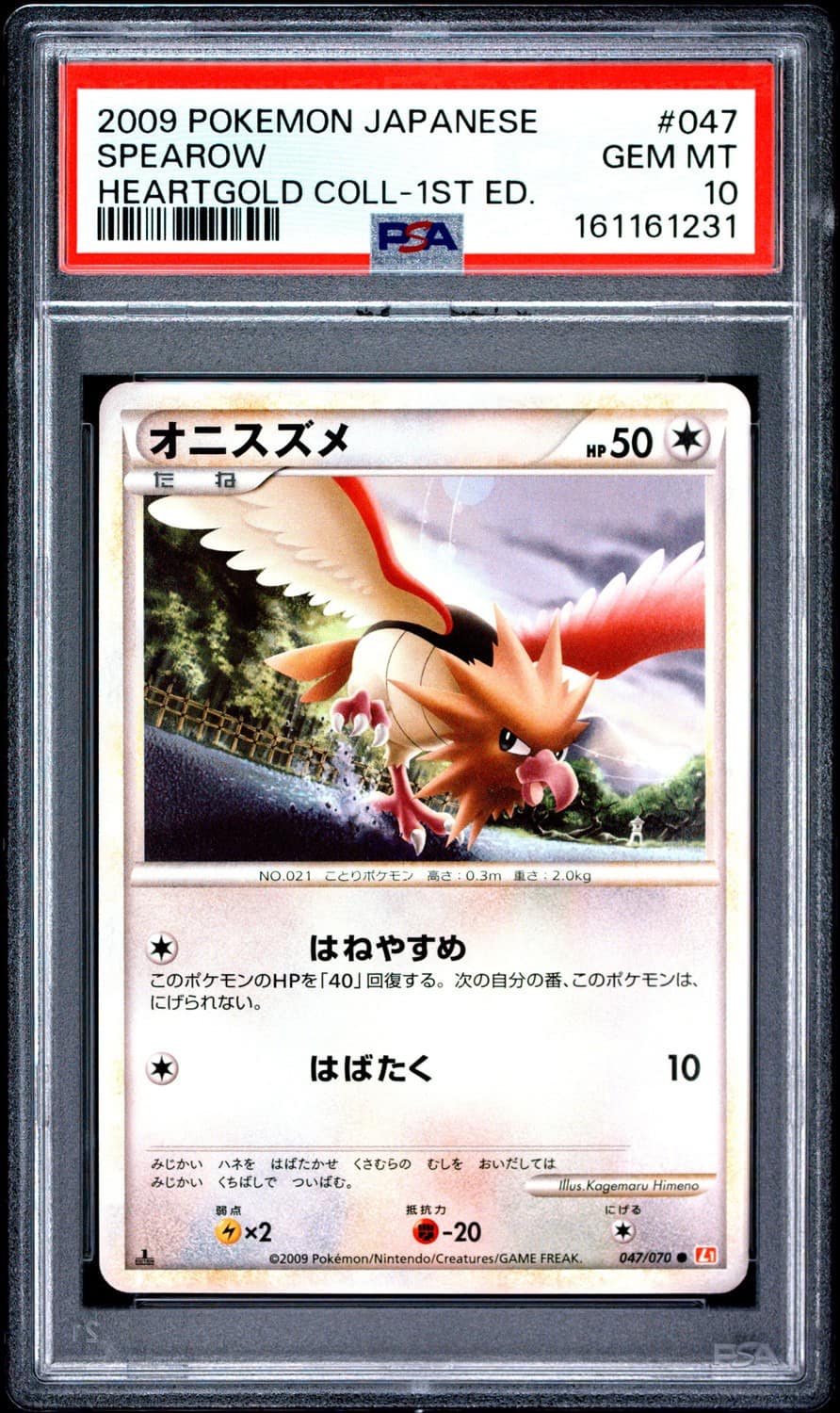 Spearow