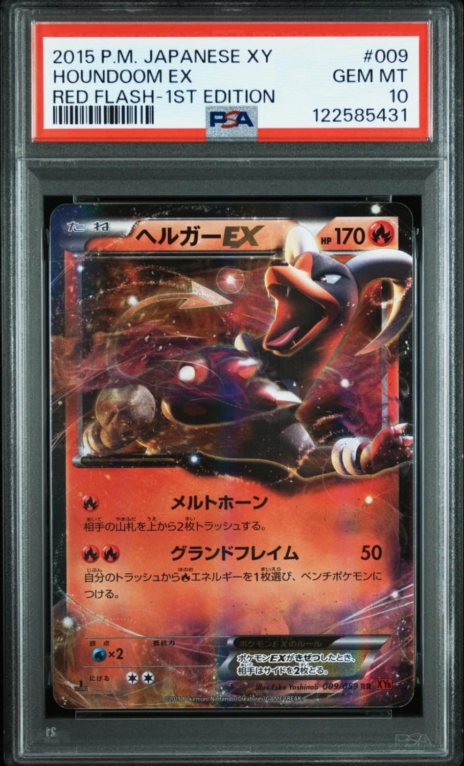 Houndoom Ex