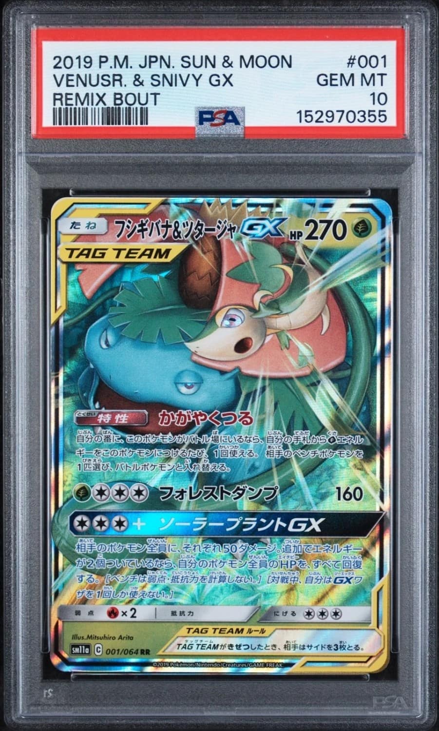 Venusaur & Snivy Gx