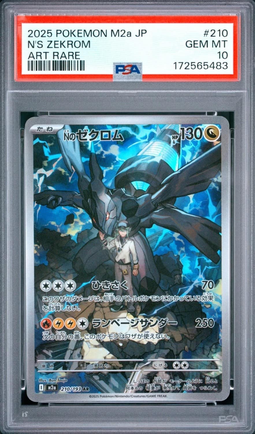 N'S Zekrom