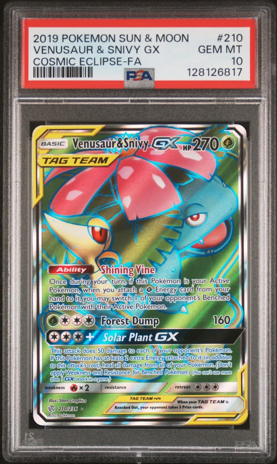 Venusaur & Snivy Gx