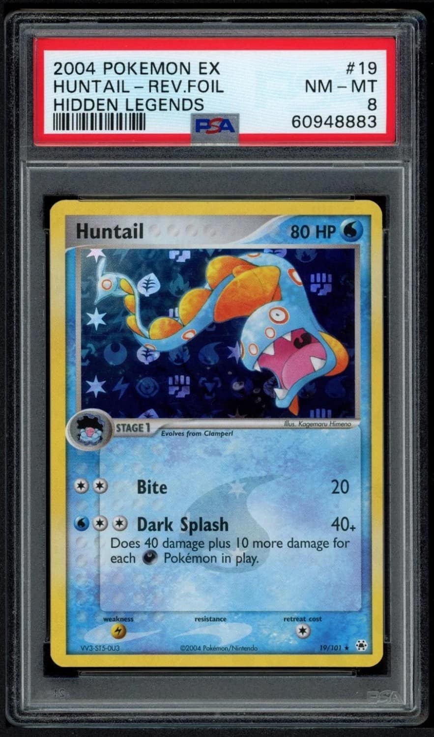 Huntail