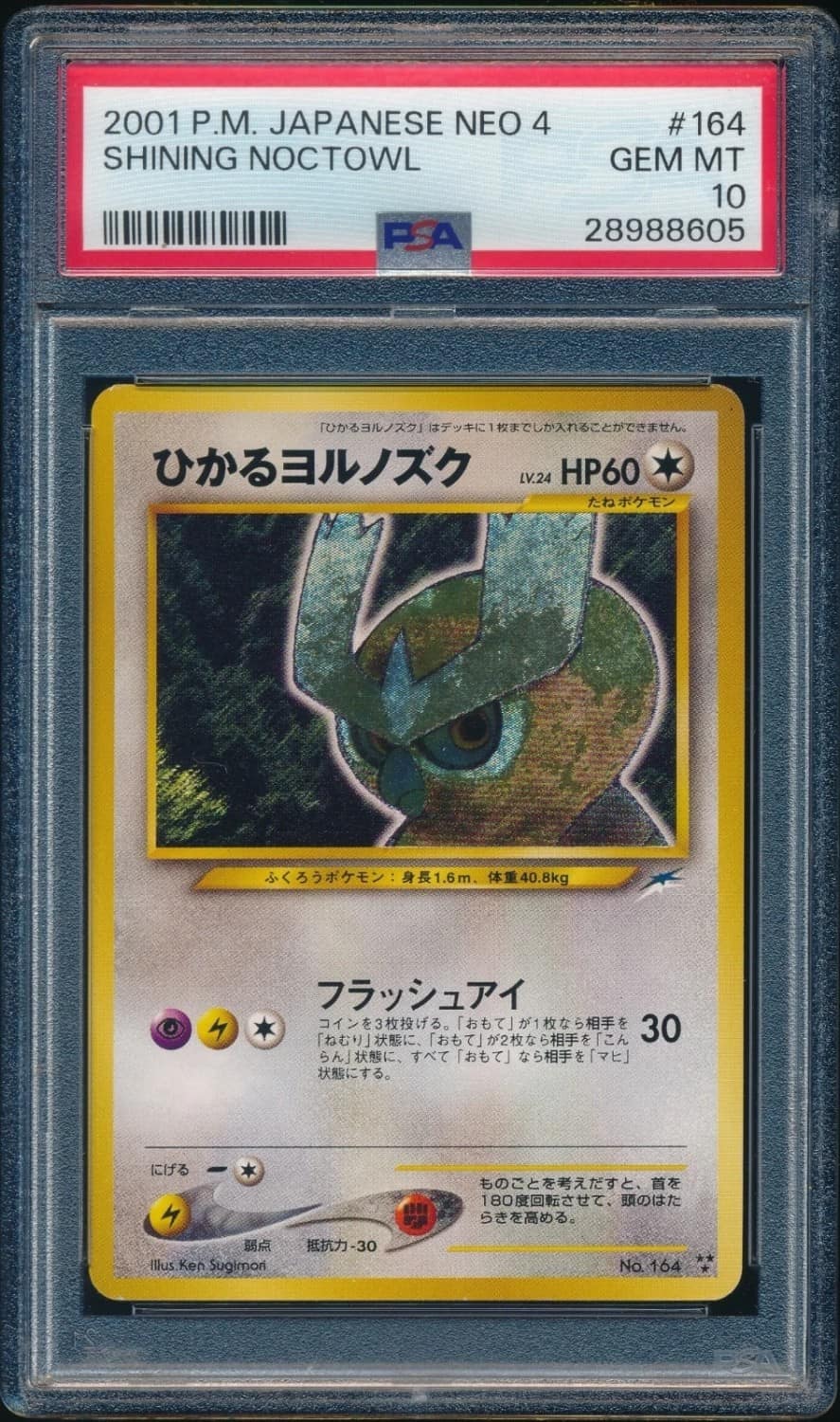 Shining Noctowl