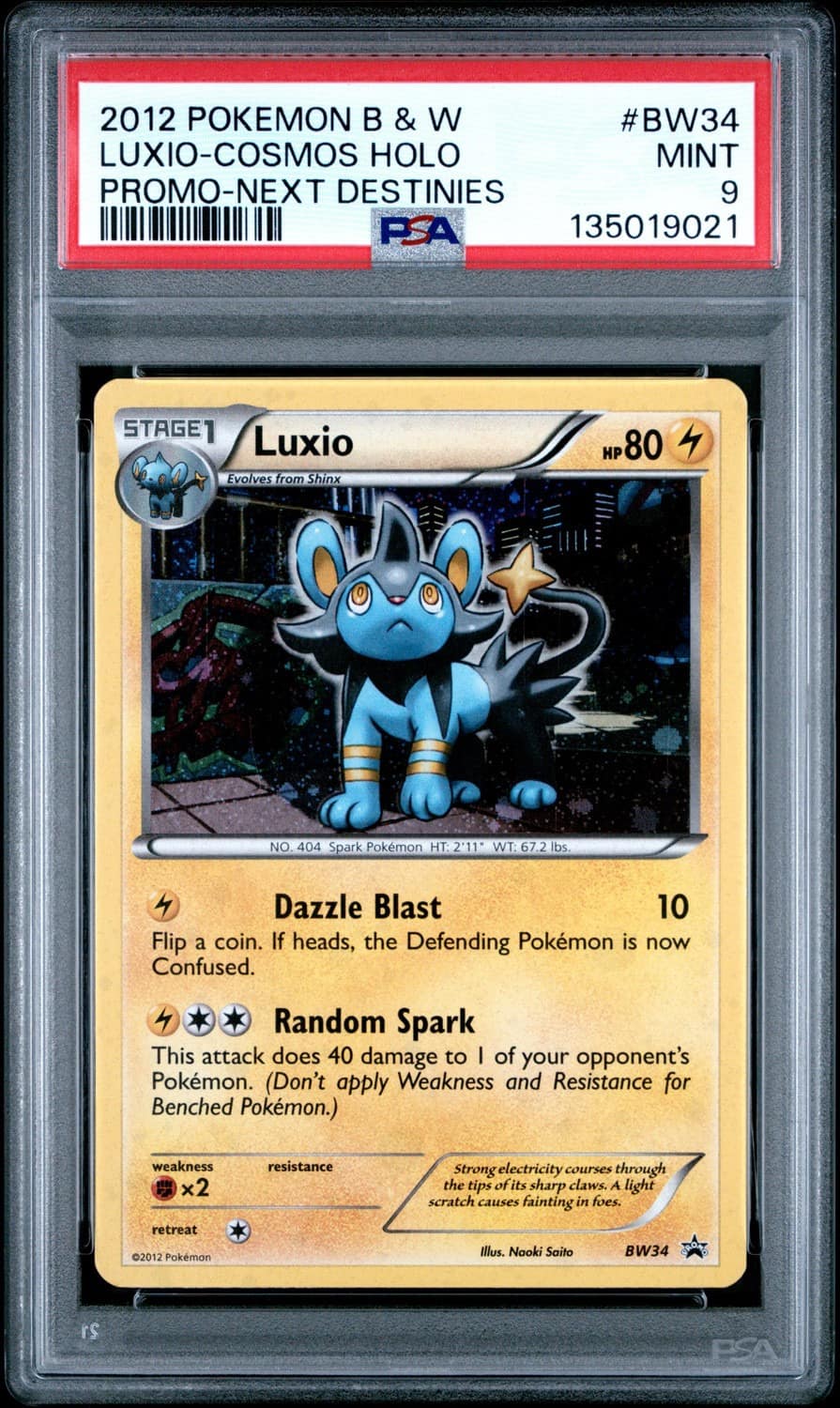 Luxio-Cracked Ice