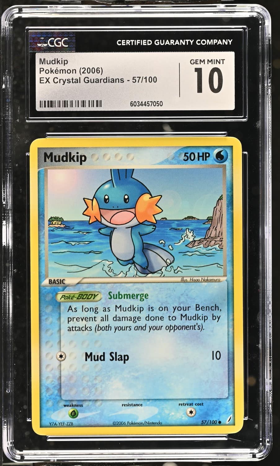 Mudkip