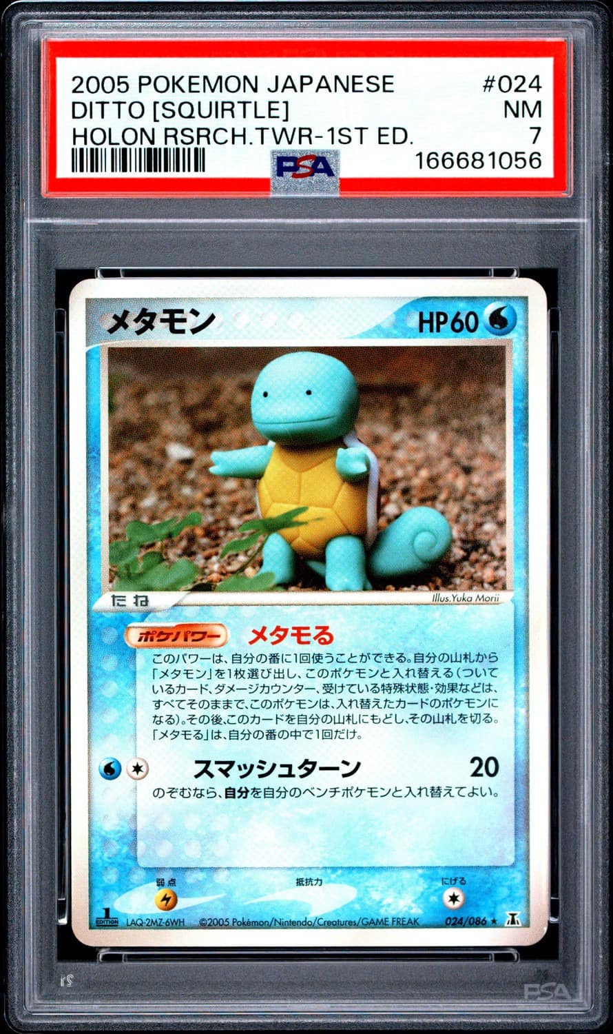 Ditto [squirtle]