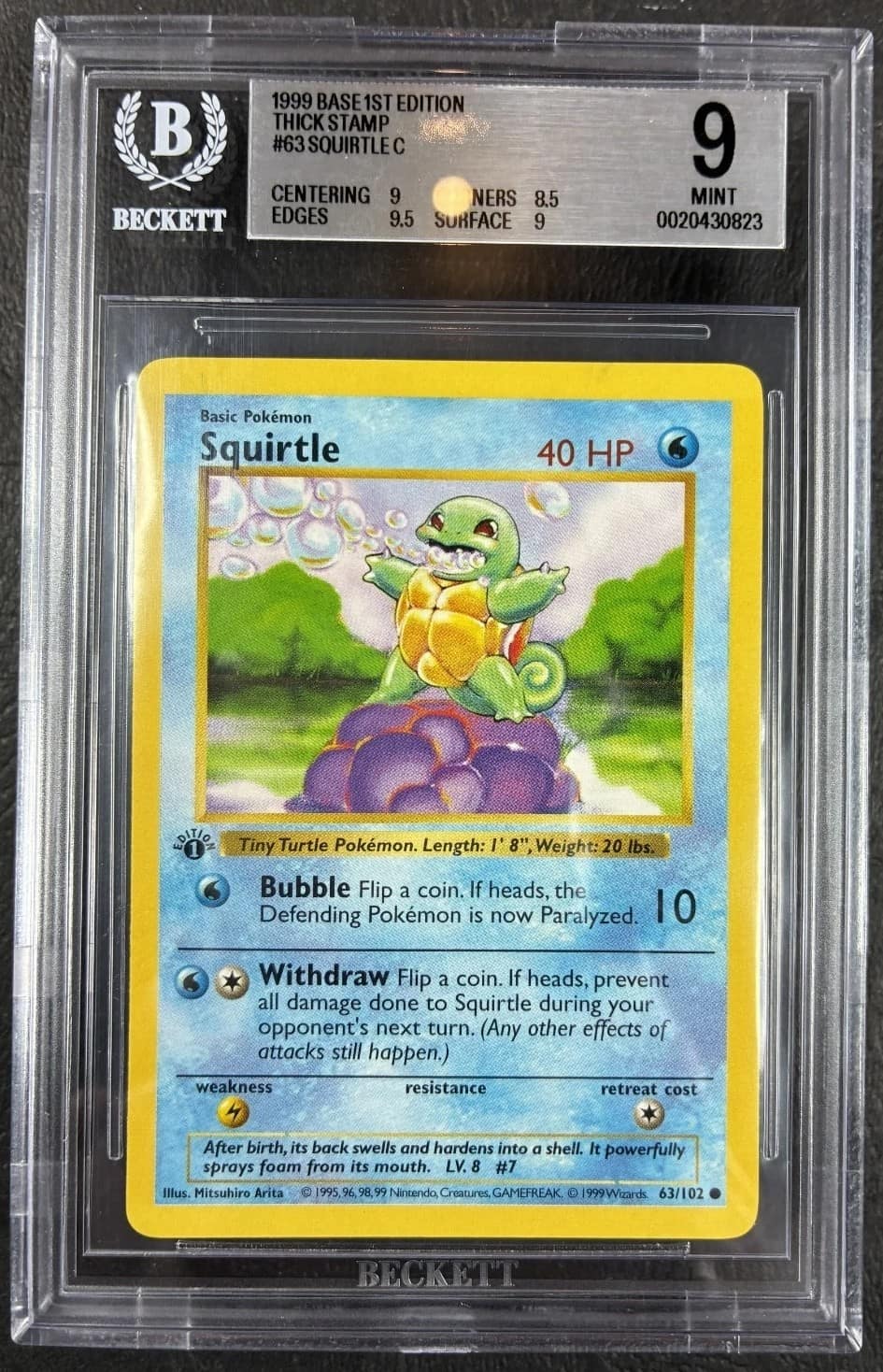 Squirtle