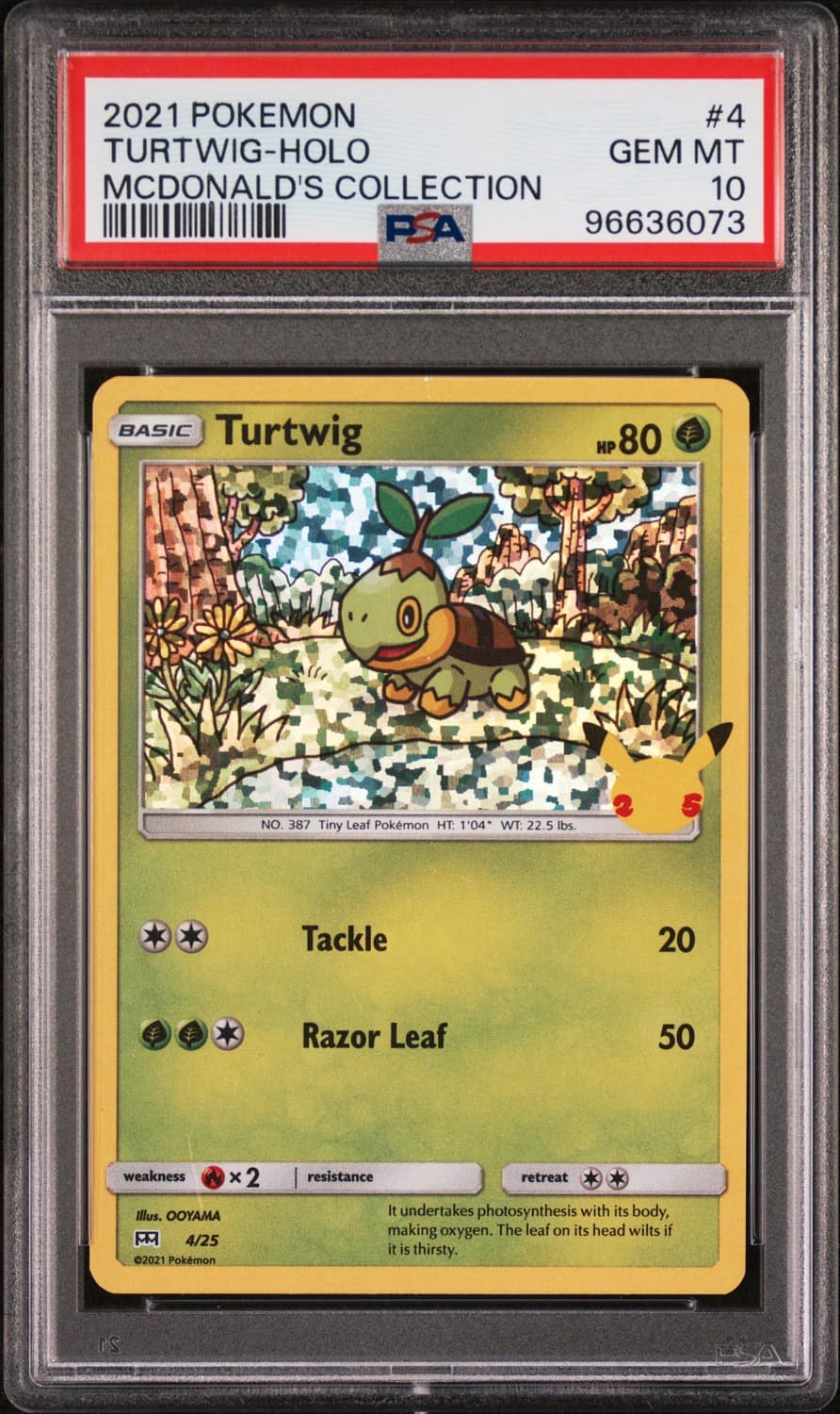 Turtwig