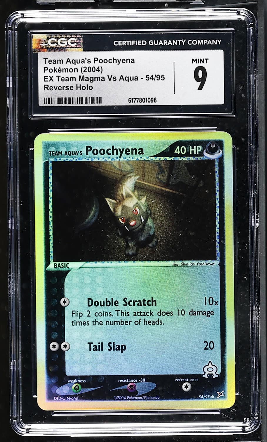 Aqua'S Poochyena