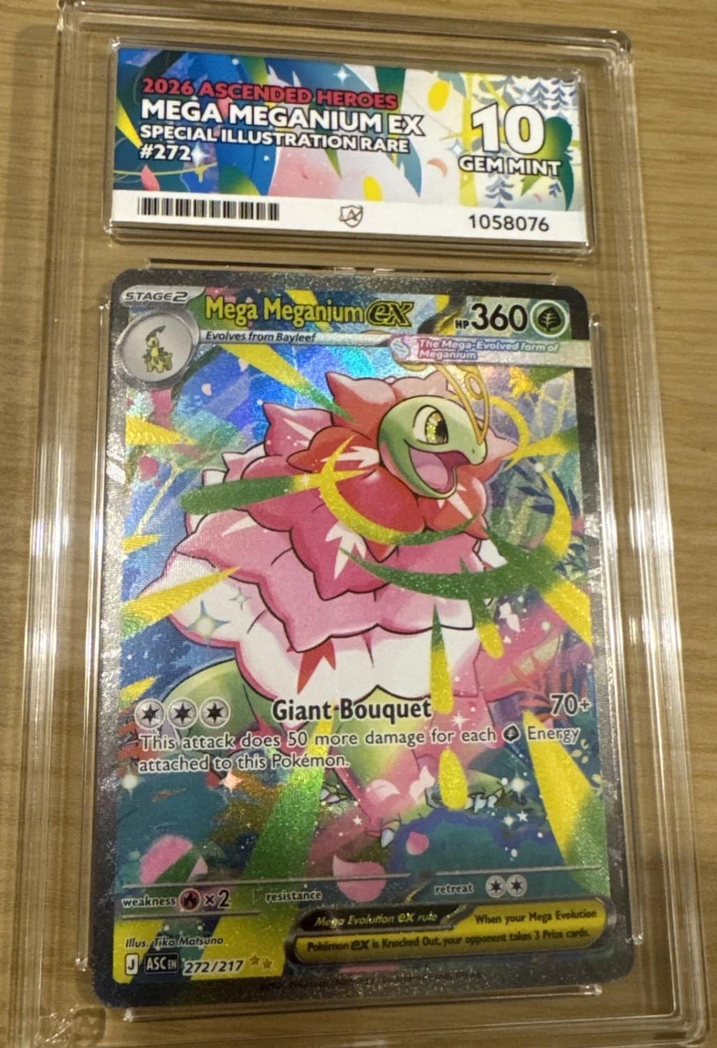 Mega Meganium Ex