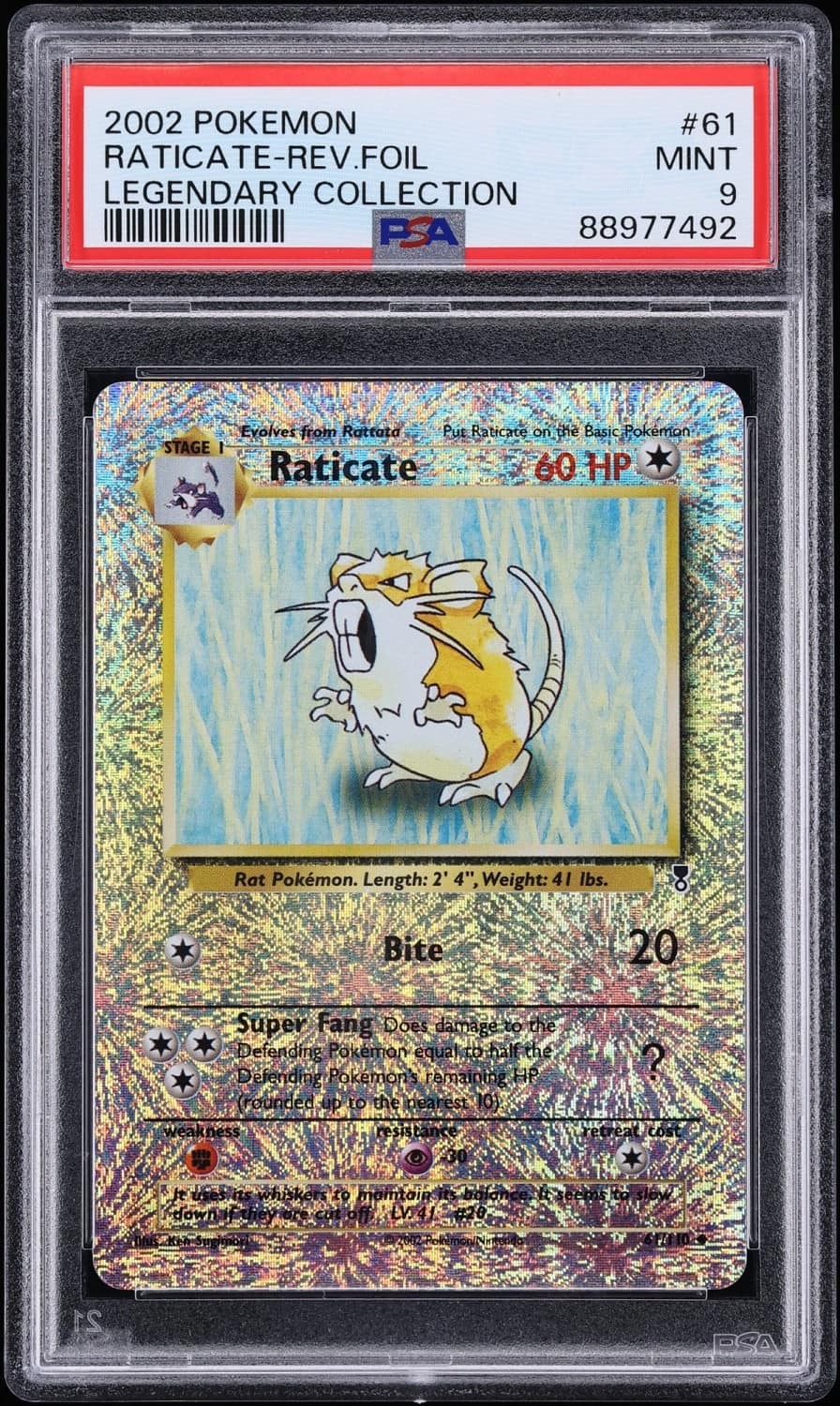 Raticate