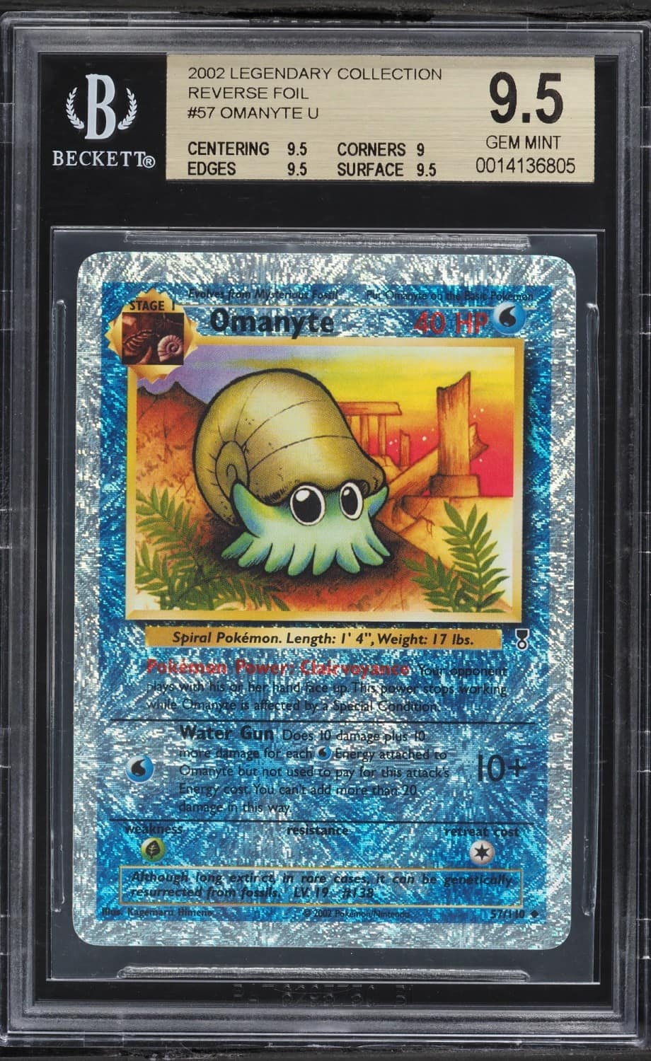 Omanyte