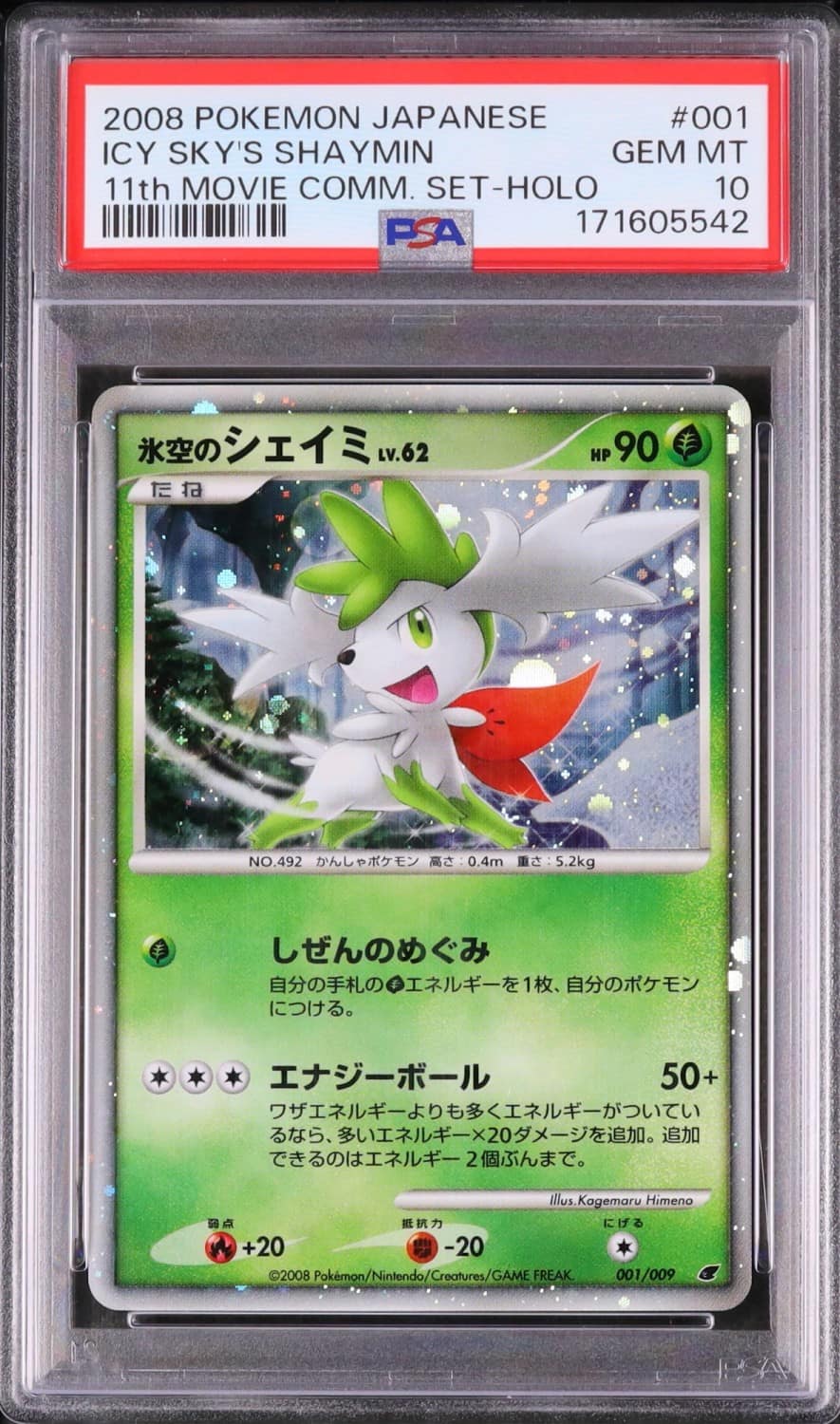 Icy Sky'S Shaymin