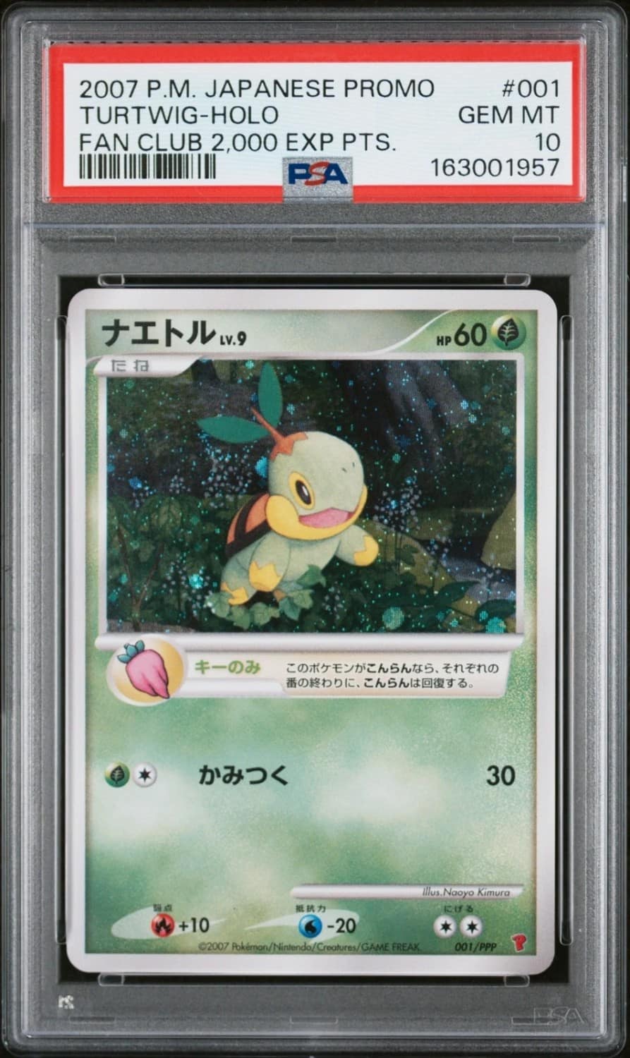 Turtwig
