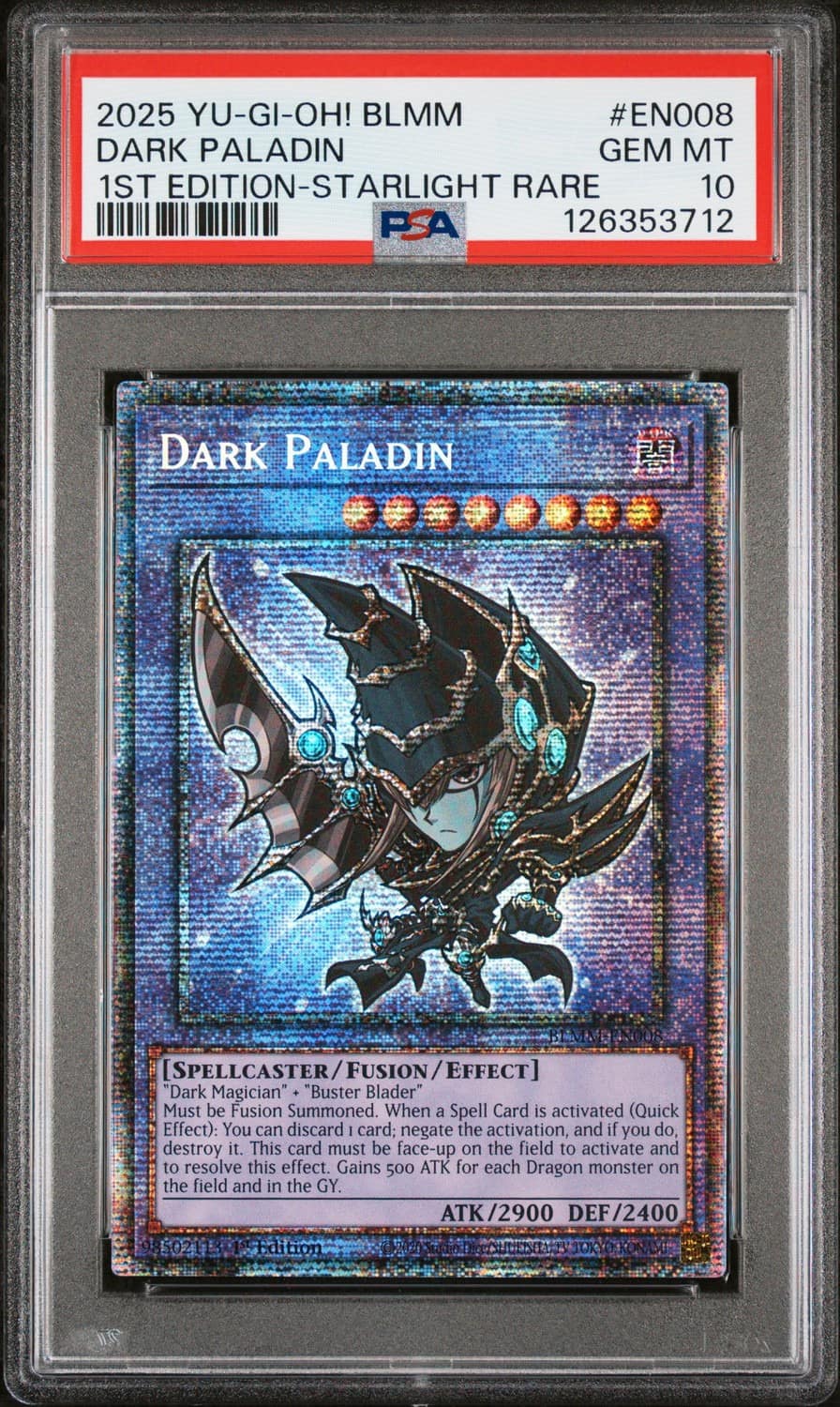 Dark Paladin