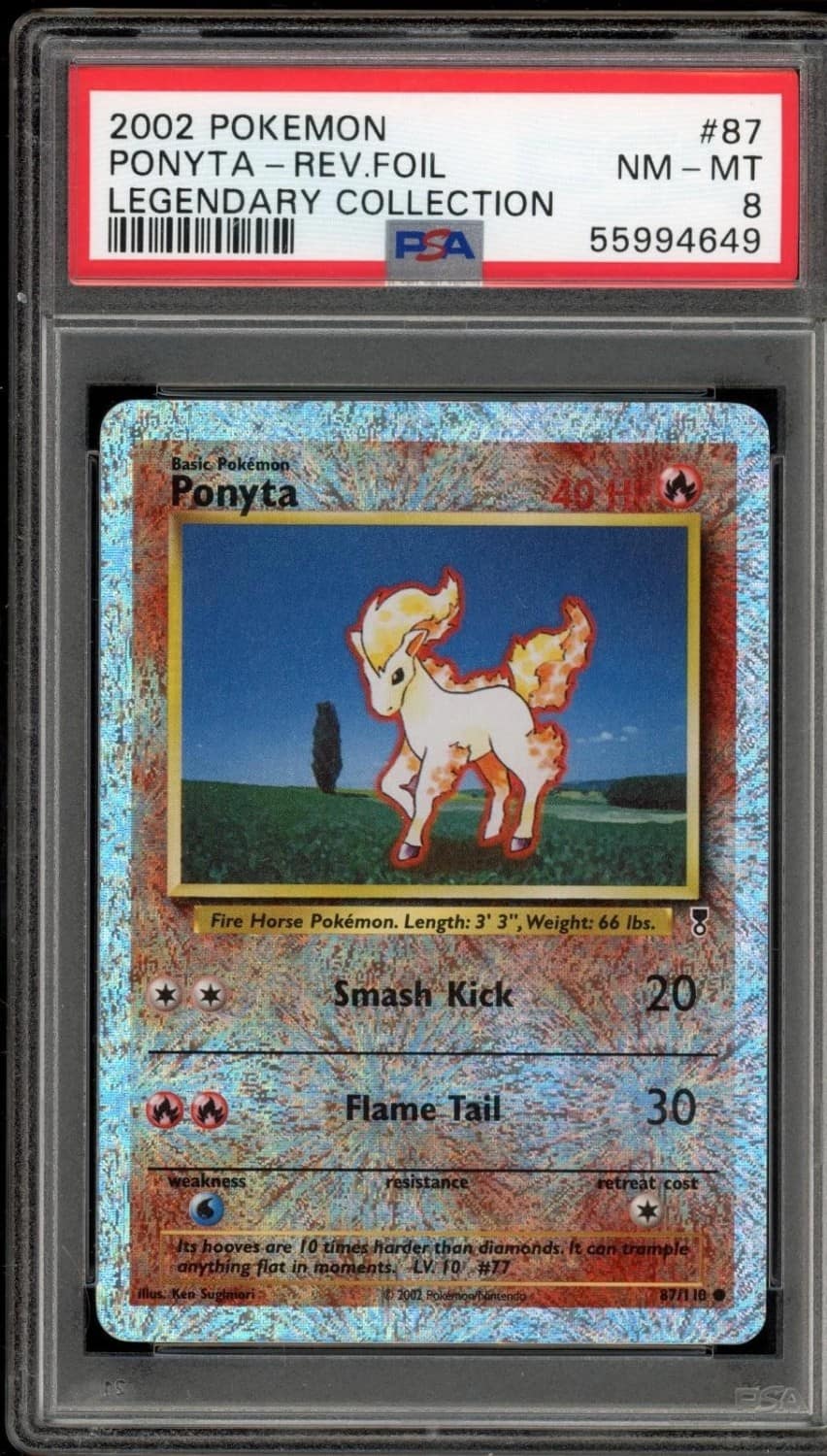 Ponyta