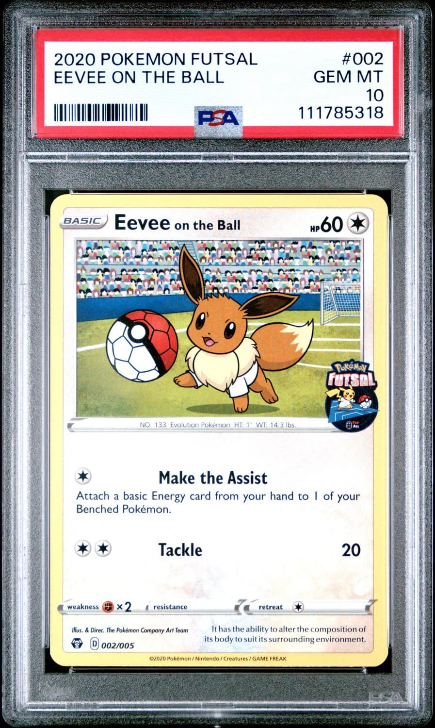 Eevee On The Ball