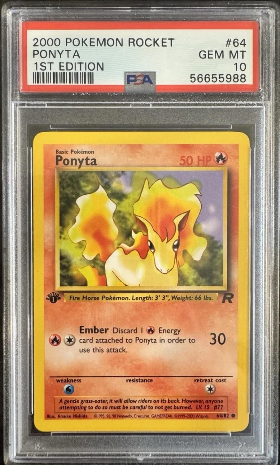 Ponyta